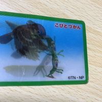 交渉歓迎 う41 カード こびとづかん レア 3D 激レア 1912 サムネイル 3