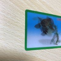 交渉歓迎 う41 カード こびとづかん レア 3D 激レア 1912 サムネイル 2