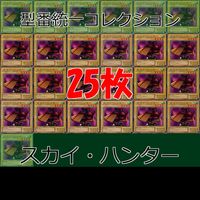 Yu-Gi-Oh Sky Hunter 25x Normal 1st Edition Lot