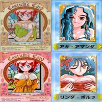 プリンセスメーカー カード まとめ Princess maker 美少女 ap133 サムネイル 6