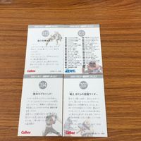 Kamen Rider Card Kamen Rider 1 No.13 Carddass Vintage サムネイル 6