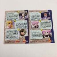 魔法少女リリカルなのは A's カード トレカ ハイグレードカードコレクション まとめ アリサ すずか ギル リーゼアリア リーゼロッテ 2 サムネイル 6