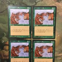 MTG マジックザギャザリング カード まとめ 4ED ダークウッドの猪/Durkwood Boars 4枚セット 128 サムネイル 3