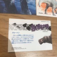 ダイナソー ディズニー カード アマダ まとめ ブルートン アラダー ニーラ クローン 1022 サムネイル 4