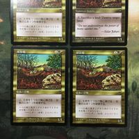 MTG マジックザギャザリング カード まとめ VIS 軍隊蟻/Army Ants 4枚セット 64 サムネイル 2