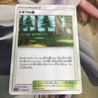 ポケモンカード 新裏面 1枚 トキワの森 トレーナーカード 28