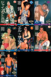 Professional Wrestling Card Lot BBM Shiga Satoru Kakihara