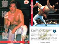 カード プロレス まとめ 志賀 悟 垣原 賢人 岡本 衛 エル 侍 菊地 毅 ジャイアント 馬場 飯塚 高史 BBM 96 サムネイル 7