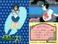 セーラームーン カード 森永 まとめ ルベウス 水野亜美 月野 うさぎ ちびうさ ルナ アルテミス モリナガ MORINAGA サムネイル 4