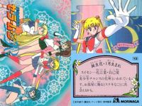 セーラームーン カード 森永 まとめ ルベウス 水野亜美 月野 うさぎ ちびうさ ルナ アルテミス モリナガ MORINAGA サムネイル 3