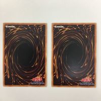 遊戯王 NO.5亡朧龍 デス・キマイラ・ドラゴン 隻眼のスキル・ゲイナー カード まとめ サムネイル 3