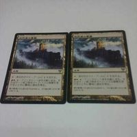 トレーディングカード MTG カード マジックザギャザリング マイナーカード まとめ 非売品 樹上の村 処刑者の要塞 サムネイル 5
