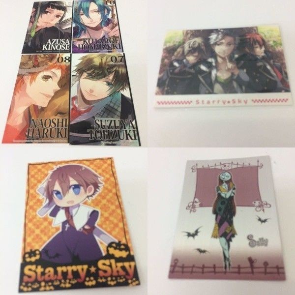 トレーディングカード カード マイナーカード 非売品 レア キラ プロモ アニメ 美少女 ゲーム スターリスカイ スタリー