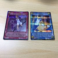 Prince of Tennis Inui Sadaharu Secret Rare Card Japanese TCG