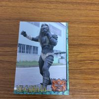 仮面ライダー クウガ カード まとめ 15 サムネイル 5
