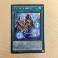 遊戯王 字レア カード トレーディングカード アマゾネスの秘術 まとめ サムネイル 3