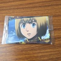 Attack on Titan Eren Armin Trading Card Lot 13 Cards サムネイル 9
