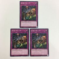 遊戯王 ノーマル 神の警告 蠱惑の落とし穴 神の宣告 カード まとめ サムネイル 4