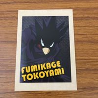 カード トレカ まとめ 僕のヒーローアカデミア ヒ ヒロアカ ぱしゃこれ 飯田 天哉 麗日 お茶子 陰踏 常闇 2 サムネイル 9