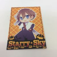 トレーディングカード カード マイナーカード 非売品 レア キラ プロモ アニメ 美少女 ゲーム Gファンタジー スターリ サムネイル 3