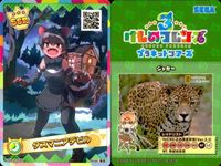 けものフレンズ けもフレ カード SSR まとめ ミーアキャット タスマニアデビル ロイヤルペンギン スナネコ ジャガー サーバル サムネイル 3