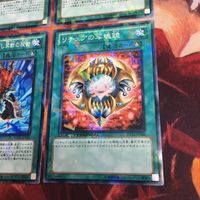 リチュアの写魂鏡 リチュアに伝わりし禁断の秘術 DTノーマル まとめ DT13-JP044 遊戯王 サムネイル 5