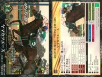 カード ホースレーシング まとめ オジュウチョウサン ダンツプリウス ヤマカツエース II シンハライト サトノダイヤモンド サトノアラジン マカヒキ ニホンピロバロン トウショウドラフタ 競馬 馬 EPOCH 2017 サムネイル 3
