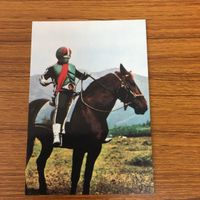 カルビー仮面ライダーカード まとめ 仮面ライダー 1号 10 サムネイル 2