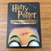 カード トレカ まとめ ハリーポッター 変身術 錫の大鍋 妖精の魔法 魔法薬学 スネイプの質問 ハグリッドと見知らぬ男 51 サムネイル 8