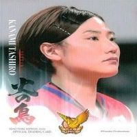 カード 【状態B】 女子 バレーボール スポーツ 火の鳥 まとめ 田代 佳奈美 荒木 絵里香 サムネイル 6