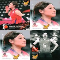 カード 【状態B】 女子 バレーボール スポーツ 火の鳥 まとめ 田代 佳奈美 荒木 絵里香 サムネイル 1