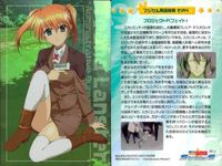 カード 魔法少女リリカルなのは なのは カード SR キラ まとめ ( SP 1枚) スーパーレア Strikers ストライカーズ ブロッコリー プラスチックカード サムネイル 5