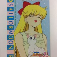 セーラームーン 美少女戦士セーラームーンR カード アマダ バンダイ 愛野 148 137 木野 美奈子 まこと 239 1 サムネイル 2