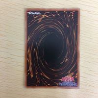 遊戯王 字レア カード トレーディングカード アマゾネスの秘術 まとめ サムネイル 8