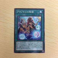 遊戯王 字レア カード トレーディングカード アマゾネスの秘術 まとめ サムネイル 5