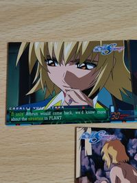 機動戦士ガンダムSEED キャラ単 No.043 アスラン 121 130 カガリ・ユラ・アスハ カガリ ステラ 裸 カード シン・アスカ サムネイル 3