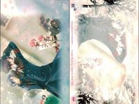 カード 花帰葬 まとめ No 21 22 27 28 31 35 44 46 50 初版 フロンティアワークス サムネイル 4
