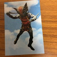 仮面ライダー カルビ カード まとめ 仮面ライダー 1号 サイクロン ガラガランダ 32 サムネイル 5