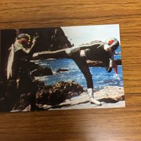 仮面ライダー カルビ カード まとめ 仮面ライダー 1号 サイクロン ガラガランダ 32 サムネイル 4