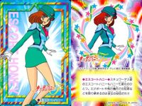 カード キューティーハニー F 9種 まとめ バンダイ カードダス 7 8 9 10 11 12 13 14 15 サムネイル 9