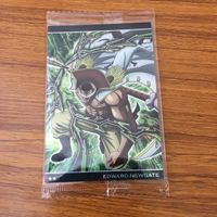 カード トレカ まとめ ワンピース ワンピ 白ひげ エドワード ニューゲートシルバーズ レイリー クロコダイル 未開封 レア 2 サムネイル 3