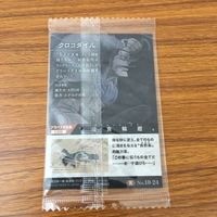 カード トレカ まとめ ワンピース ワンピ 白ひげ エドワード ニューゲートシルバーズ レイリー クロコダイル 未開封 レア 2 サムネイル 8