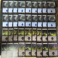 基本土地セット 統率者戦 EDH 島 沼 36枚 まとめ MTG サムネイル 2