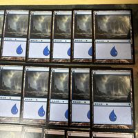 基本土地セット 統率者戦 EDH 島 沼 36枚 まとめ MTG サムネイル 4