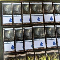基本土地セット 統率者戦 EDH 島 沼 36枚 まとめ MTG サムネイル 3