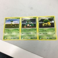 ポケモンカード 旧裏面 新裏面 海外 2枚 英語版 プロモ ナエトル ニドリーナ ニドラン ルクシオ ハヤシガメ 28 4 サムネイル 2