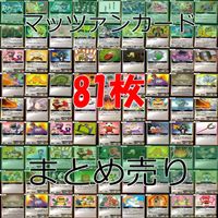 マッツァン カードゲーム カード まとめ いい大人達 マッツァンカードゲーム bp557 サムネイル 1
