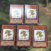 遊戯王 カード まとめ ベビケラサウルス 22 サムネイル 1