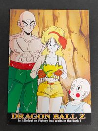 Dragon Ball Carddass Trading Collection Yamcha Chiaotzu Tien