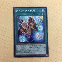 遊戯王 字レア カード トレーディングカード アマゾネスの秘術 まとめ サムネイル 5